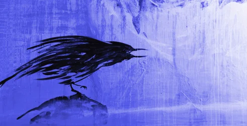 Corvo Azul Tempestuoso