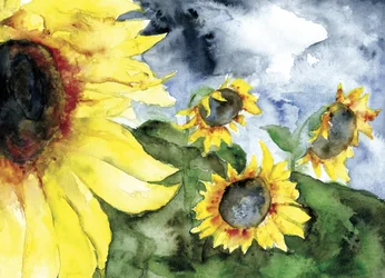 Girassóis: Céu Tempestuoso