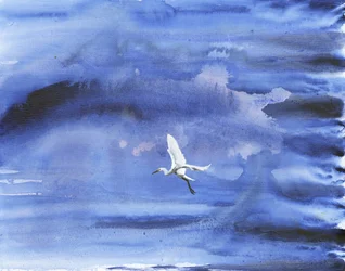 Garça-branca e céu azul