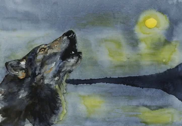 Lobo a uivar para a lua