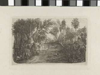 Paisagem com riacho e árvores nas margens
Le cours d