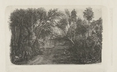 Paisagem com riacho e árvores nas margens Le cours d