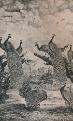 Os pavões, 1869, 1946