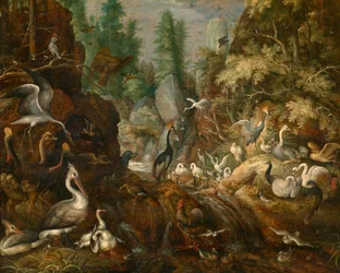 Paraíso das Aves