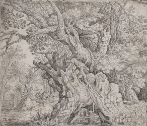 Árvore Nodosa, c. 1608-09.