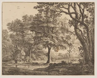 Placa. 6, de Seis vistas no bosque de Haia