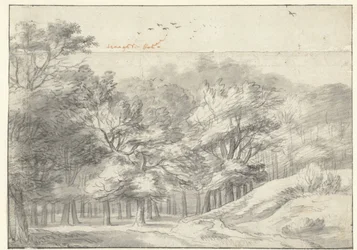 Vista no Haagse Bos