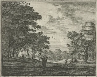 Alpinista no Haagse Bos