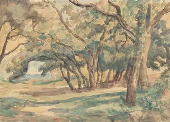Glade arborizado perto de St. Tropez