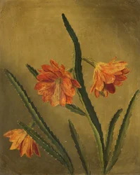 Estudo das flores (óleo sobre tela)