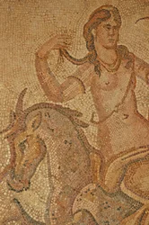 Uma ninfa, da casa de Jason Magnus (mosaico)