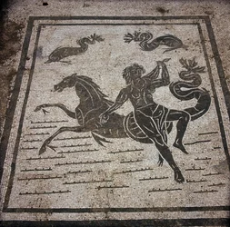 Ostia Antiga (Ostia). Place des Corporations. Mosaico da Sabratha Seafarers Corporation. Uma ninfa e um cavalo marinho.