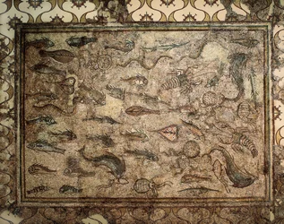 Arte romana: mosaico de peixe. Início do século III. Tarragona. Museu Nacional de Arqueologia.