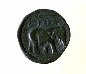 Uma moeda de Cartago representando um elefante. Século III ou II a.C.