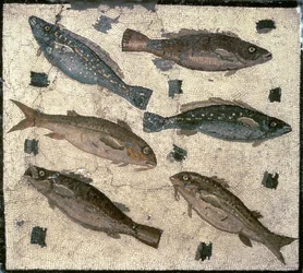 Peixe (mosaico)