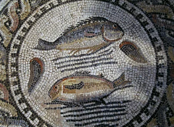 Peixes, mosaico na cidade romana de Volubilis (Lista do Património Mundial da UNESCO)