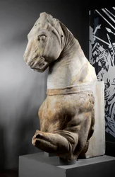 Parte da frente de um cavalo, c.75-25 BC (mármore)