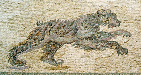 Cena caça, detalhe, de, um, urso, casa, de, dionysos, paphos, chipre, mosaico