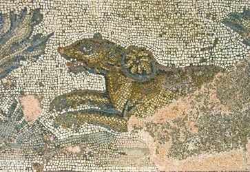 Cena caça, detalhe, de, um, leoa, casa, de, dionysos, paphos, chipre, mosaico