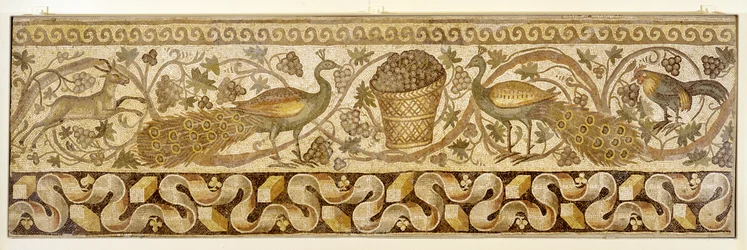 Mosaico de uma bordadura de enrolamentos de videira com pavões, Antioquia, 526-540