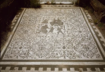 Mosaico de pavimento da casa de Dionísio e Ariane, século II (fotografia)