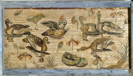 Arte romana: pato, rã e nenúfares num lago. Mosaico da Casa do Fauno em Pompeia. Século I. Dimensões: 132 x 164 cm. Museo Archeologico Nazionale, Nápoles