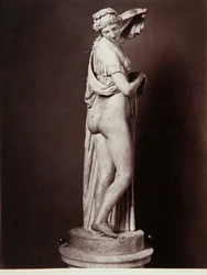 A Vénus Callipigia (mármore)