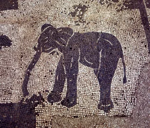 Ostia Antiga (Ostia). Place des Corporations. Mosaico da Sabratha Seafarers Corporation.