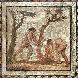 Recolha de feixes de palha (mosaico)