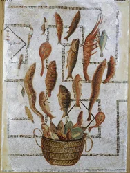 Peixe a fugir de um cesto
