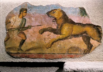 Gladiador a lutar com um leão