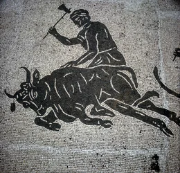 Mosaico representando uma cena de abate de um touro e encontrado em Ostia (Ostia) (perto de Roma). Actualmente preservado no antigo Salão de Bombeiros de Óstia.
