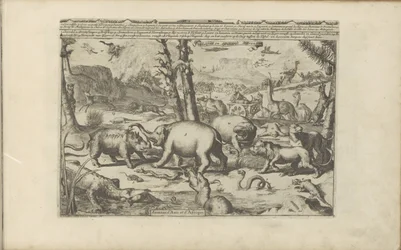 Aziatische en Afrikaanse dieren Aziatische en Afrikaanse dieren / Animals of Asia and Africa (título no objeto) As Índias Orientais e Ocidentais e Outros Lugares (título da série)
