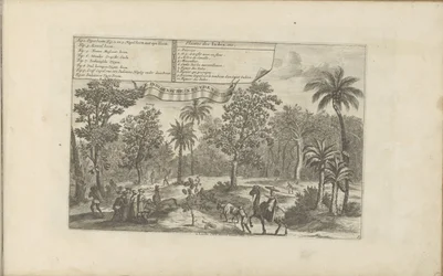 Bomen en specerijen
Plantes des Indes, etc / Indiaensche kruyden, etc (título sobre o objecto)
As Índias Oriental e Ocidental e outros lugares (título da série)