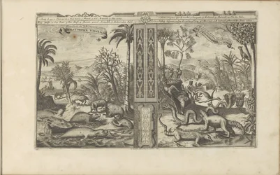 Dieren uit West-India Westindische Vissen, etc / Peixes, etc das Índias Ocidentais // Westindische Gedrochten / Monstros das Índias Ocidentais (título no objeto) As Índias Orientais e Ocidentais e Outros Lugares (título da série)