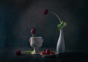 Tulipas e morangos melancólicos