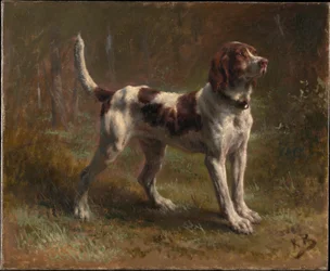 Um cão mais leve de Limier