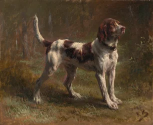 A Limier Briquet Hound, ca. 1856
