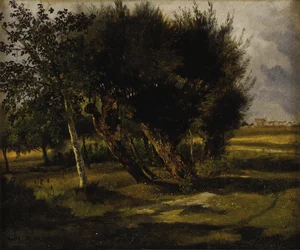Ramos de árvores no prado