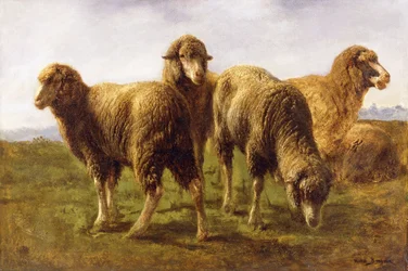 Ovelhas pastando em um prado,