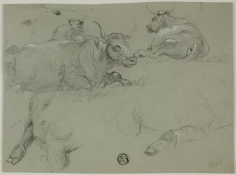 Esboços de vacas