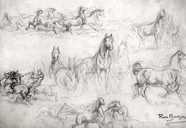 Estudo de cavalos