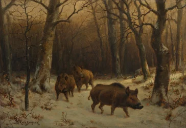 Javalis na neve, c. 1872-77