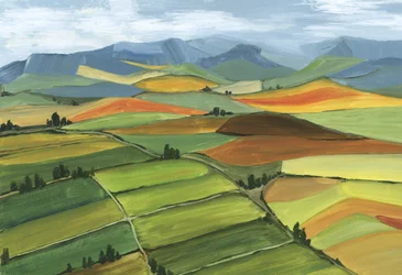 Campos ondulantes e coloridos