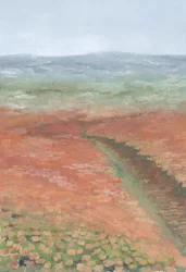 Caminho pelo campo em flor