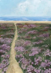 Caminho da Praia das Flores Roxas