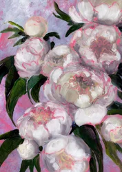 Peónias rosa claro