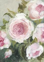 Rosas Rosa Suave