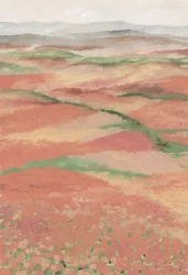 Campos de papoilas coloridos