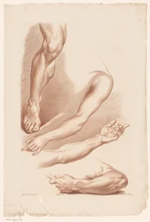 Três braços e uma perna Princípios de desenho da natureza, parte sete (título da série) VIIe Cahier de Principes du Design d